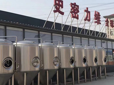 彭泽精酿啤酒设备厂—如何判断精酿啤酒设备的密封件需要更换？